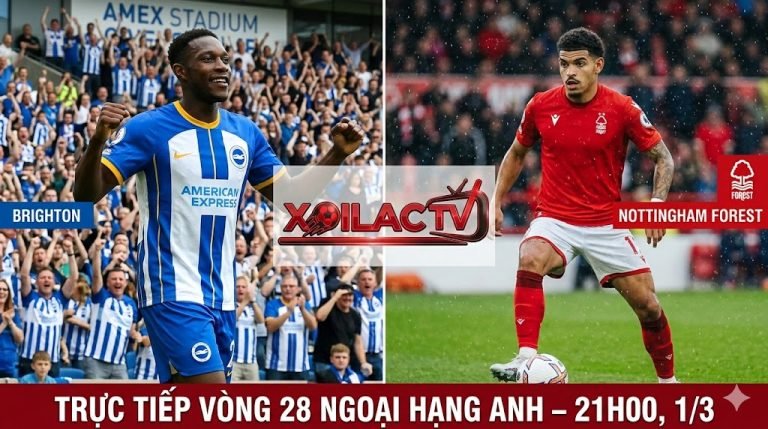 Nhận định Brighton vs Nottingham Forest: Welbeck đối đầu Gibbs-White tại Amex – Xoilac TV