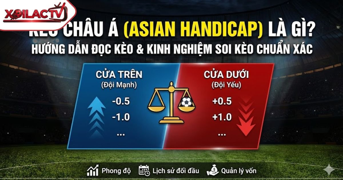 Kèo Châu Á (Asian Handicap) Là Gì? Hướng Dẫn Cách Đọc Kèo & Kinh Nghiệm Soi Kèo